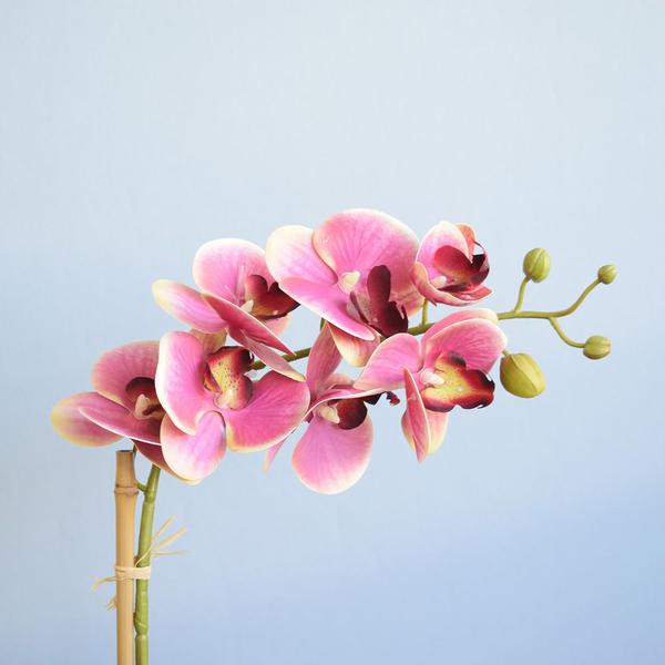 Imagem de Arranjo de Orquídea Artificial Pink no Vaso Fendi  Formosinha