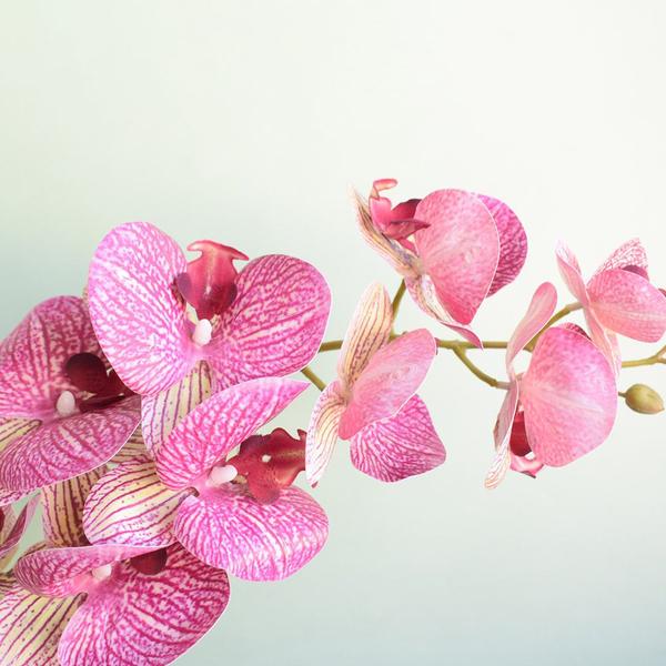 Arranjo de Orquídea Artificial Rosa no Vaso Vidro Formosinha Imagem de Arranjo de Orquídea Artificial Rosa no Vaso Vidro Formosinha