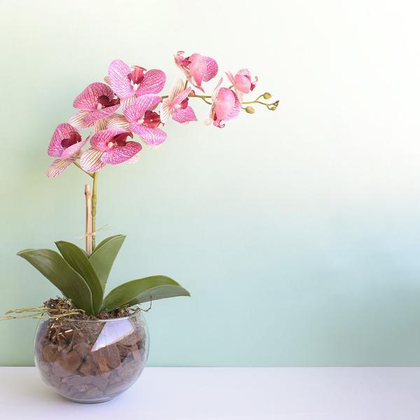 Arranjo de Orquídea Artificial Rosa no Vaso Vidro Formosinha Imagem de Arranjo de Orquídea Artificial Rosa no Vaso Vidro Formosinha