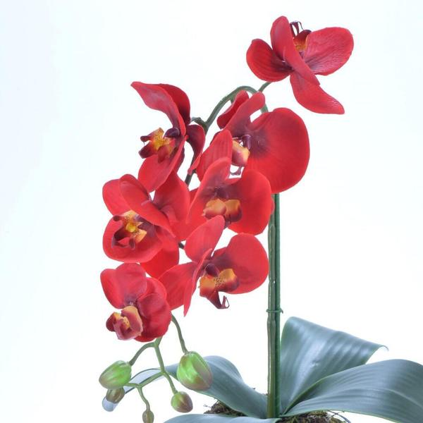 Imagem de Arranjo de Orquídea Artificial Vermelha em Aquário Pietra
