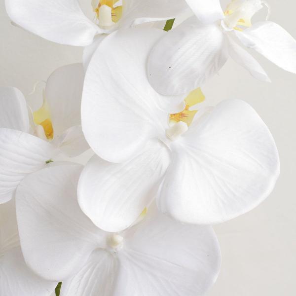 Imagem de Arranjo de Orquídea Branca Artificial no Vaso de Vidro Achatado  Arranjos Formosinha