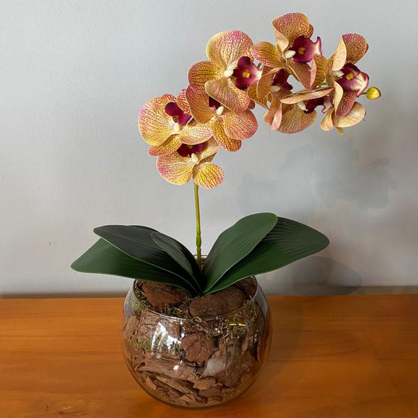 Imagem de Arranjo De Orquídea Tigre No Vaso Vidro Transparente Médio