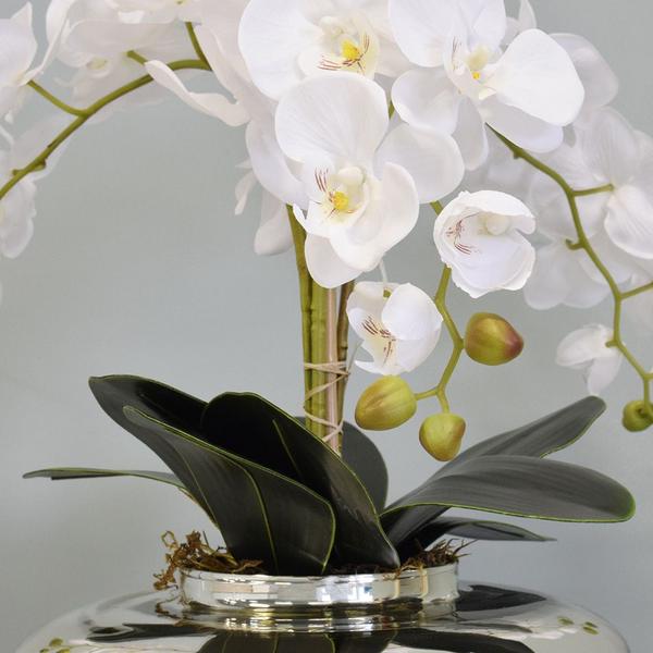 Imagem de Arranjo de Orquídeas Brancas no Vaso Prateado  Formosinha
