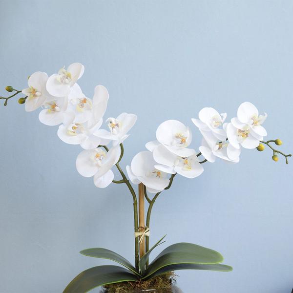 Imagem de Arranjo de Orquídeas Brancas Silicone no Vaso M  Formosinha