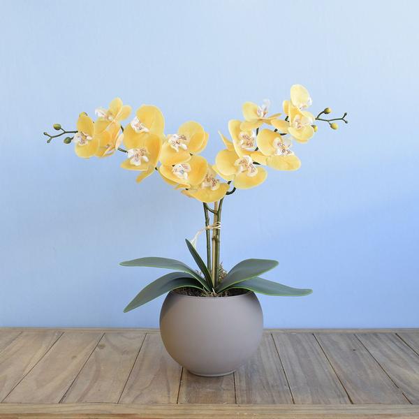 Imagem de Arranjo de Orquídeas de Silicone Amarelas no Vaso Fendi  Formosinha