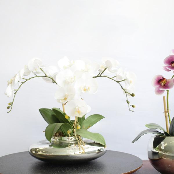 Imagem de Arranjo de Orquídeas de Silicone Brancas no Vaso Prateado  Formosinha