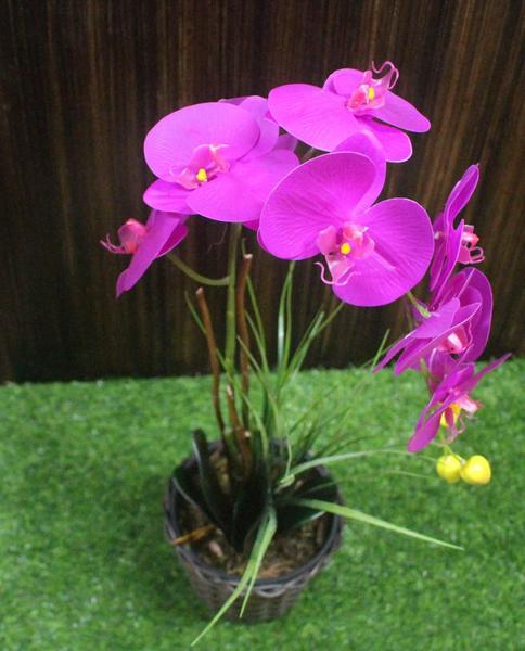 Imagem de Arranjo Flores Artificiais Orquídea Silicone Com Vaso Decoração