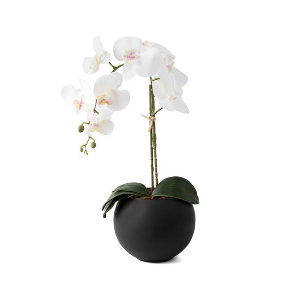 Imagem de Arranjo Orquídea Artificial Silicone 3D Super Realista com Vaso