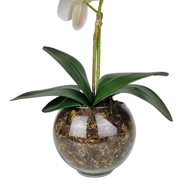 Imagem de Arranjo Orquídea Silicone Artificial Toque Real 3D Vaso