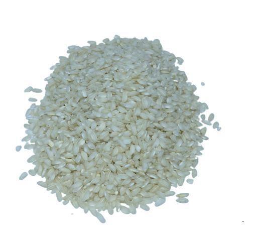 Imagem de Arroz Arbóreo Orgânico À Vácuo Solst 500 G