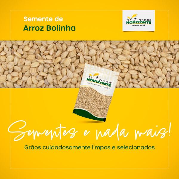 Imagem de Arroz Bolinha 1kg - Horizonte Pet Store -  Semente Limpa e Selecionada para Pássaros