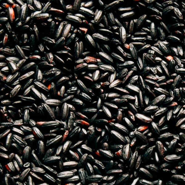 Arroz Italiano Integral Negro / Preto A Granel - Cerealista Express Imagem de Arroz Italiano Integral Negro / Preto A Granel
