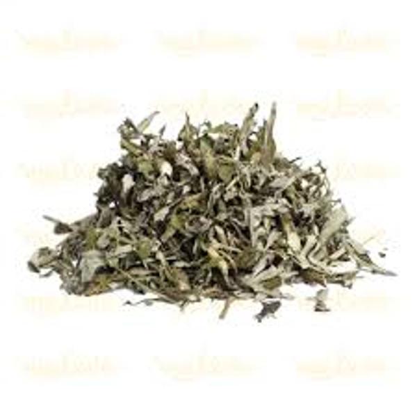 Artemísia Folhas 200g Artemisia vulgaris - L. Londriervas - LONDRIERVAS PRODUTOS NATURAIS Imagem de Artemísia Folhas 200g Artemisia vulgaris - L. Londriervas