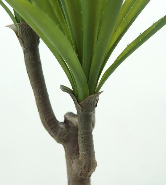 Imagem de Arvore Planta Agave Folhagem Suculenta Grande 100cm Premium