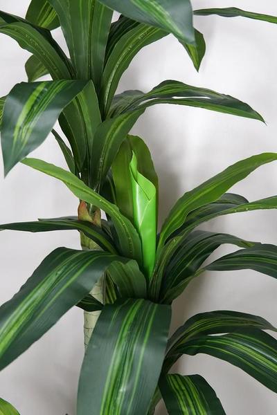 Imagem de Arvore Planta Artificial Folhagem Dracena Luxo 184 cm