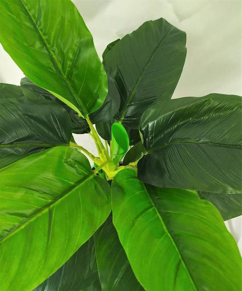 Imagem de Árvore Planta Permanente Verde Bananeira 80cm Folhagem