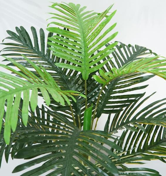 Imagem de Arvore Verde Folhagem Planta Palmeira 107cm Coqueiro
