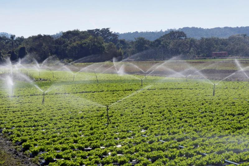 Imagem de Aspersor Impacto Irrigação Implebras IM22 Rosca 1/2 Kit 3 Un