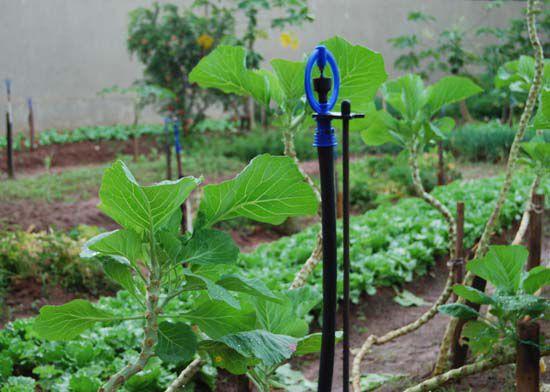 Imagem de Aspessor P5 Irrigação Com Rosca De 1/2 Kit C/ 6 Unidades - Agrojet