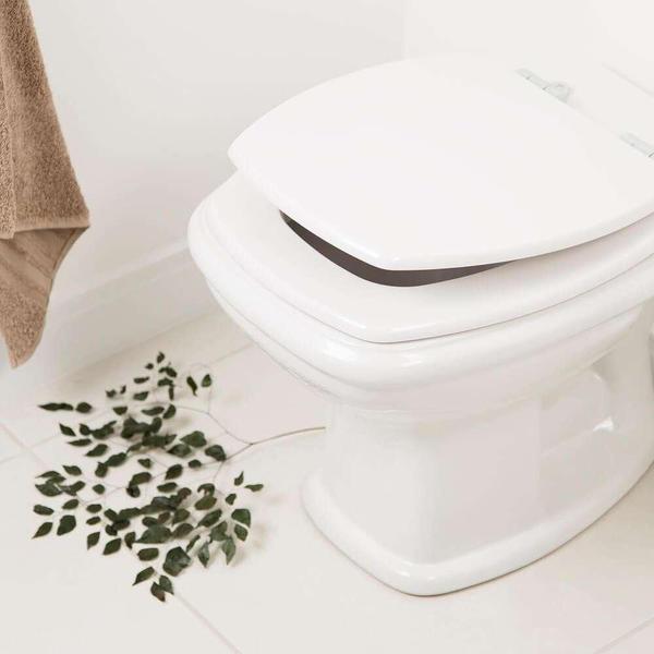 Assento Sanitario Poliester Fit Branco para Vaso Celite - Pontto Lavabo Imagem de Assento Sanitario Poliester Fit Branco para Vaso Celite
