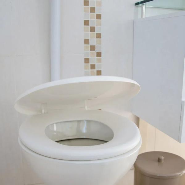 Imagem de Assento Sanitário Soft Oval Branco Astra TPJ/AS*BR1