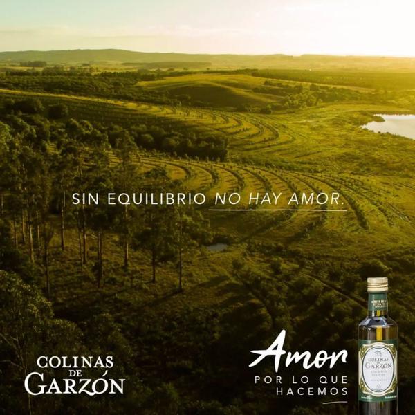 Imagem de Azeite Uruguaio COLINAS GARZON Bivarietal 500ml