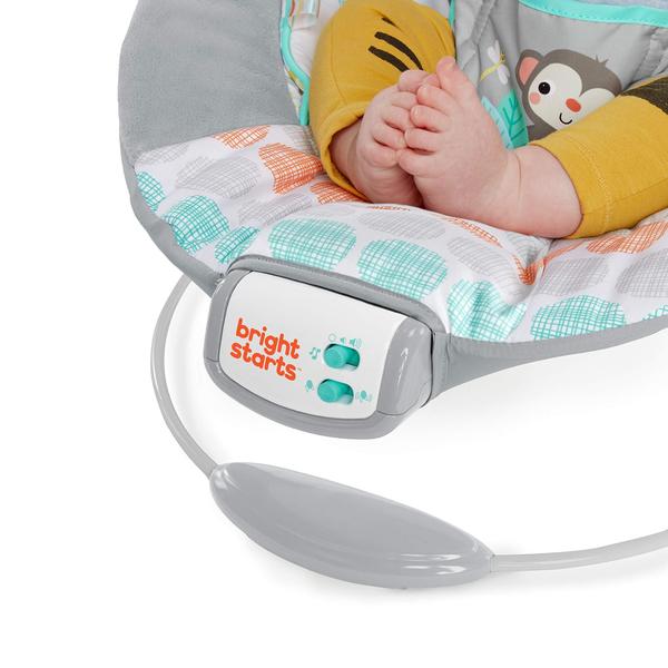 Imagem de Baby Bouncer Bright Starts Comfy Soothing Vibrations 0-6M