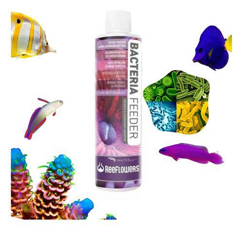 Imagem de Bacterias Feeder 85ml Reeflowers Alimento Reduz Nitrato, Po4