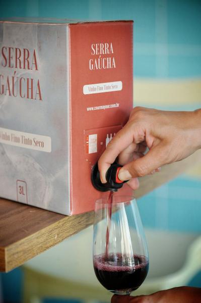 Imagem de Bag Vinho Serra Gaúcha Merlot Tinto Seco Fino Courmayeur 3 L