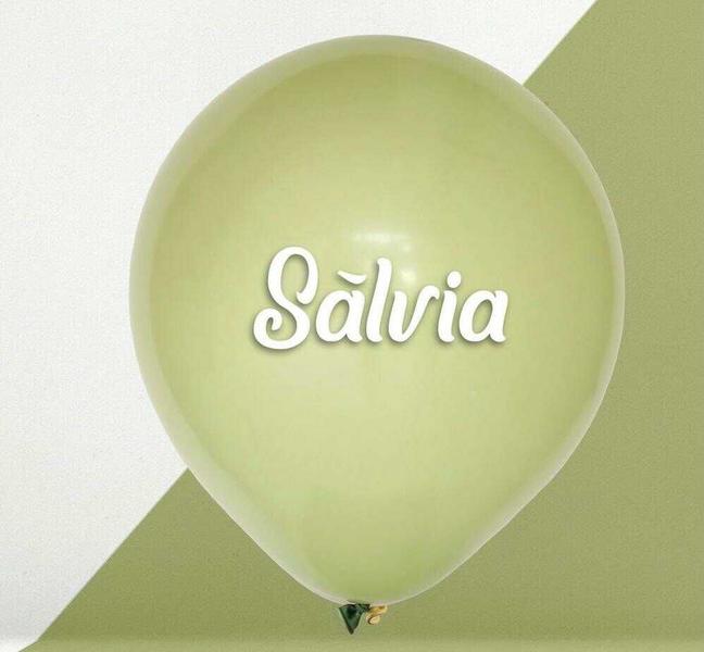 Imagem de BALÃO LISO - ART-LATEX Nº 09 -  SALVIA - Pacote com 50 unidades