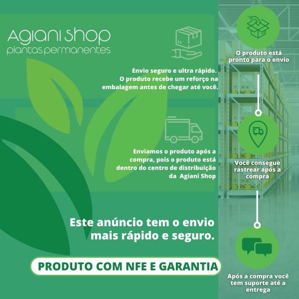 Imagem de Balde De Vaso Com Alça E Plantinha Atificial Decorativa Plantas Artificiais