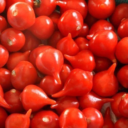 Balde Pimenta Biquinho Em Conserva Gourmet 2kg Fogo Mineiro - Fogo Mineiro Imagem de Balde Pimenta Biquinho Em Conserva Gourmet 2kg Fogo Mineiro