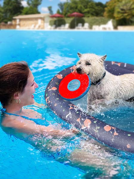 Balsa inflável Dog Pool Float Apipi para cães pequenos de até 20 kg Imagem de Balsa inflável Dog Pool Float Apipi para cães pequenos de até 20 kg