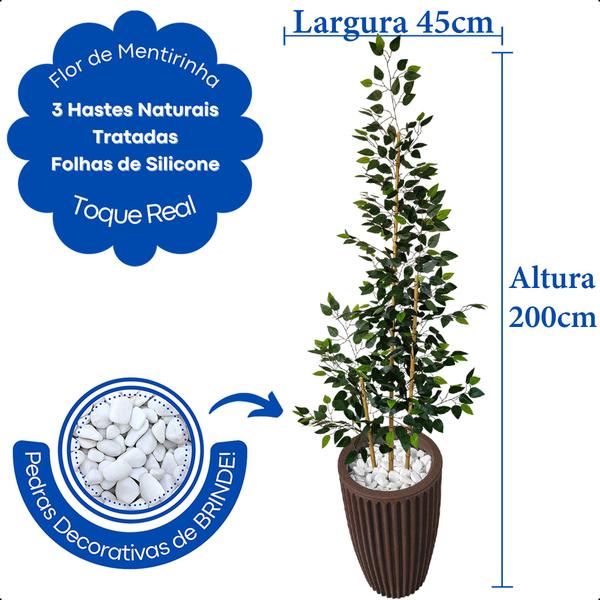 Bambu Da Sorte Artificial 2 Metros Grande Com Vaso Decoração - Flor de Mentirinha Imagem de Bambu Da Sorte Artificial 2 Metros Grande Com Vaso Decoração