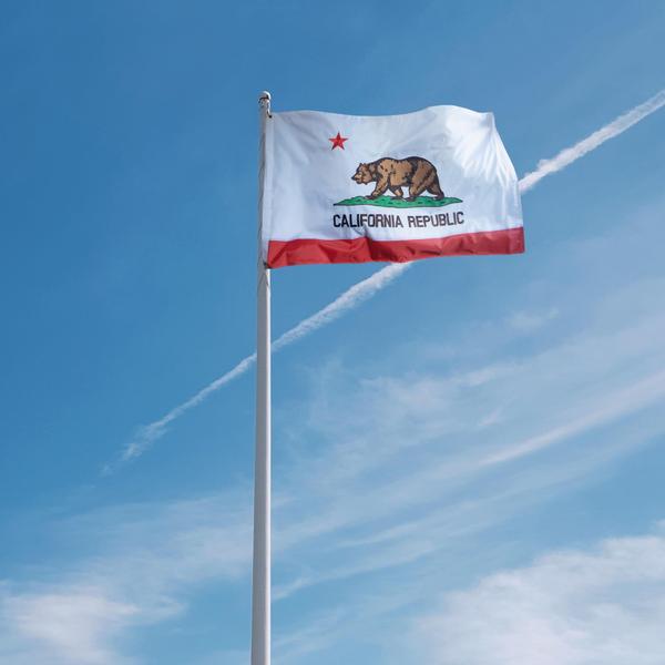 Imagem de Bandeira Anley EverStrong Series California State 90x150cm Nylon