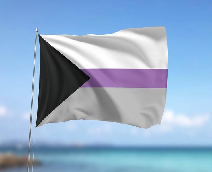 Imagem de Bandeira Demissexual LGBTQIA+ 80cmx140cm Tecido Oxford 100% Poliéster