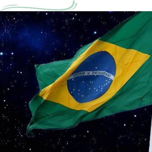 Bandeira Do Brasil 1,50X0,90m Tamanho Oficial Garantia - WCAN Imagem de Bandeira Do Brasil 1,50X0,90m Tamanho Oficial Garantia