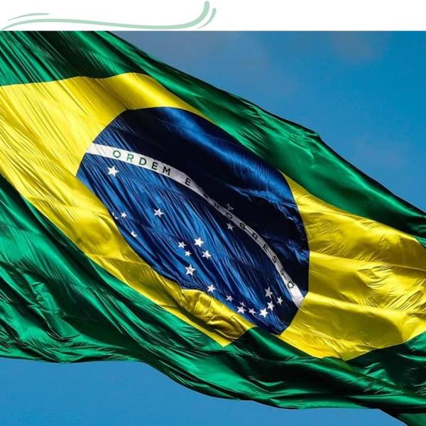 Bandeira Do Brasil 1,50X0,90m Tamanho Oficial Garantia - WCAN Imagem de Bandeira Do Brasil 1,50X0,90m Tamanho Oficial Garantia