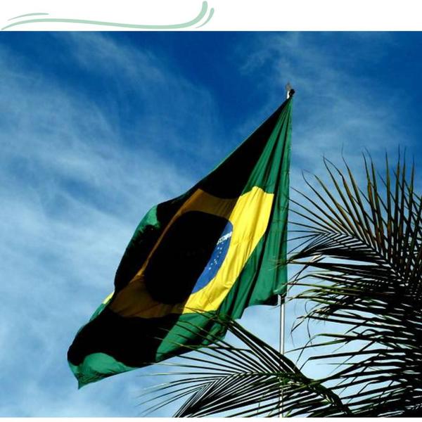 Bandeira Do Brasil 1,50X0,90m Tamanho Oficial Garantia - WCAN Imagem de Bandeira Do Brasil 1,50X0,90m Tamanho Oficial Garantia