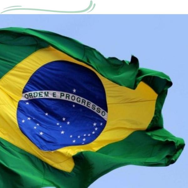 Bandeira Do Brasil 1,50X0,90m Tamanho Oficial Garantia - WCAN Imagem de Bandeira Do Brasil 1,50X0,90m Tamanho Oficial Garantia