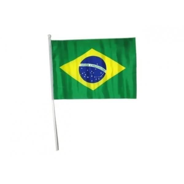 Imagem de Bandeira Do Brasil De Mao Com Haste 20cmX30cm PCT C/6