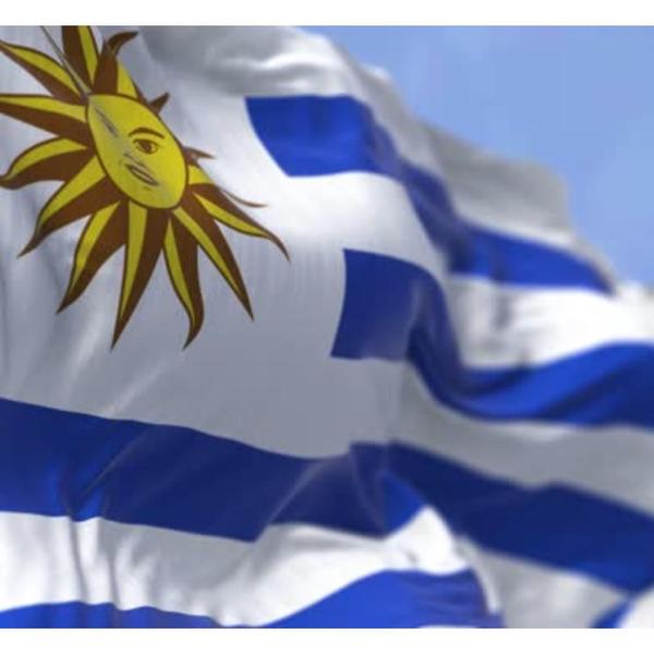 Imagem de Bandeira do Uruguai 1,50x0,90mt 100% poliéster Países Escola