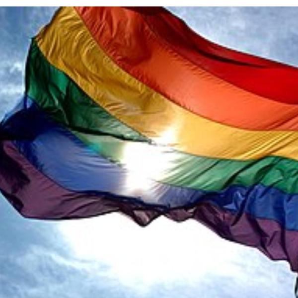 Imagem de Bandeira Lgbt Oficial 150X90 Cm Oxford Lgbtqia+ Arco-Íris