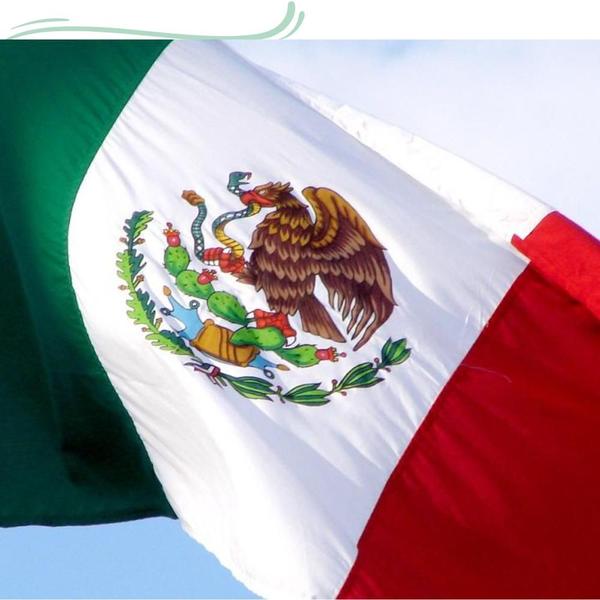 Imagem de Bandeira México 1,50x0,90mt Bandeira México 1,50x0,90mt