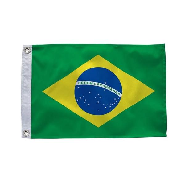 Imagem de Bandeira Oficial Do Brasil 20x33cm Dupla Face 1/2 Panos