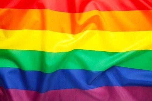 Imagem de Bandeira Orgulho Gay 1,50x0,90mt Lgbt