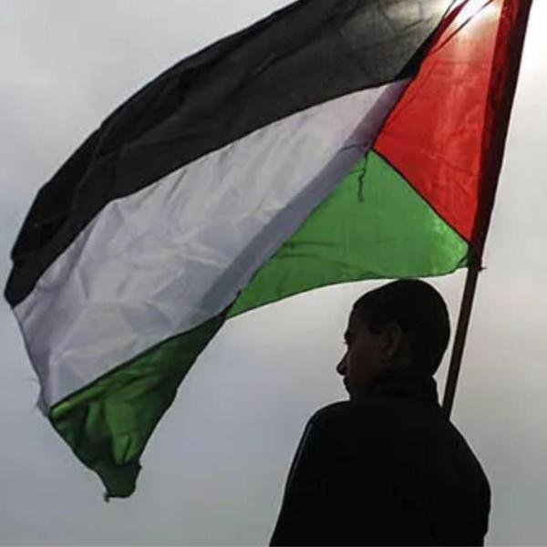 Imagem de Bandeira Palestina 1,5m x 0,90cm Poliéster Acetinado