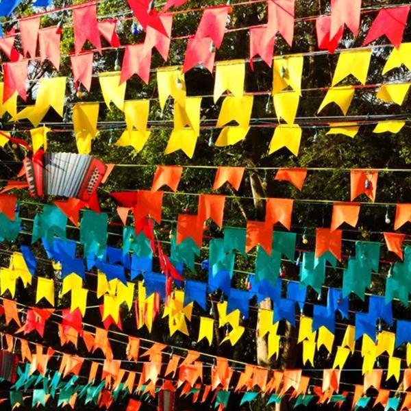 Imagem de Bandeirinhas de Festa Junina 50 Metros Plástico Arraia Festa Caipira