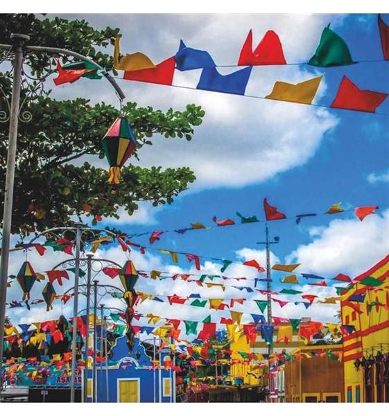 Imagem de Bandeirinhas de São João Para Festa Junina em TNT 10 Metros