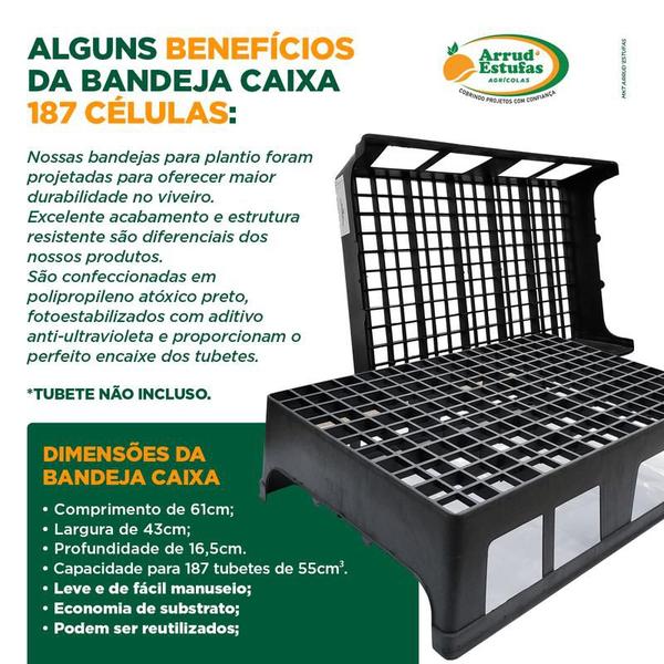 Imagem de Bandeja Caixa 187 Células Plantio de Mudas - 40 Unidades